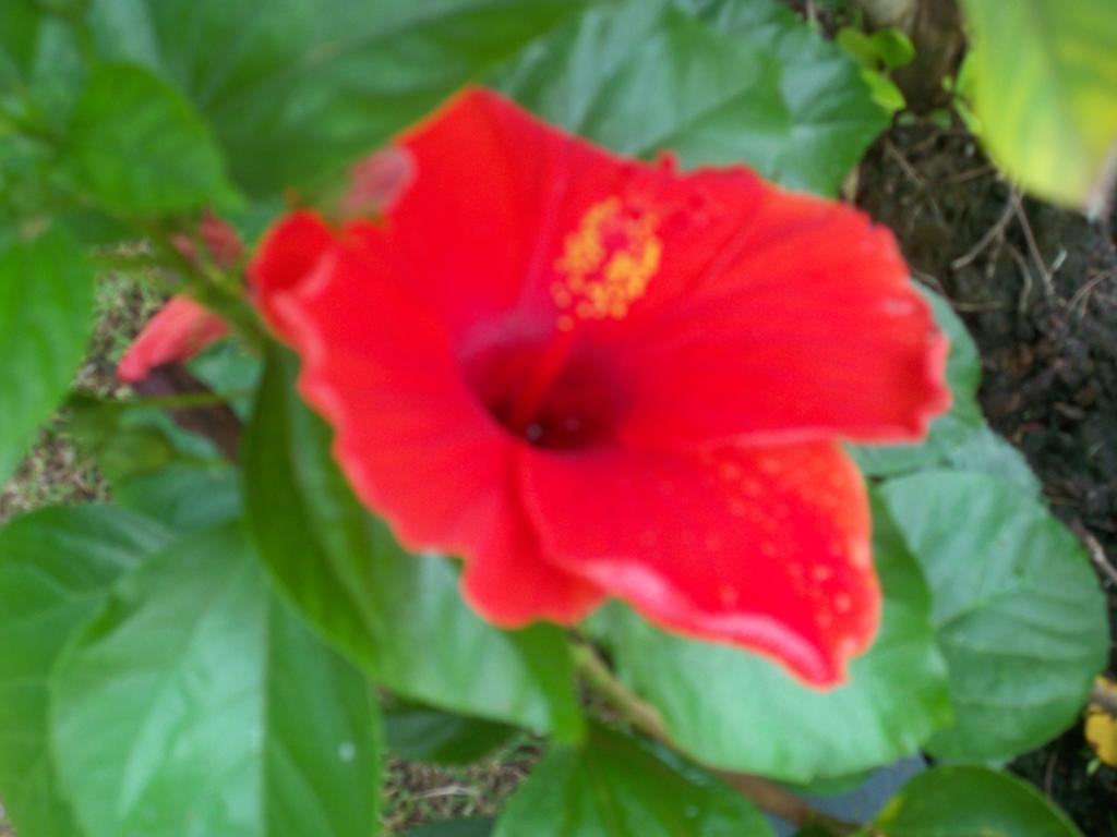 Pat Pat Guesthouse สีหนุวิลล์ ภายนอก รูปภาพ
